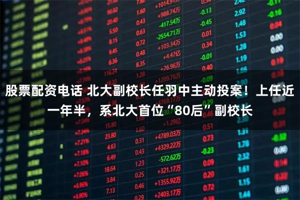 股票配资电话 北大副校长任羽中主动投案!上任近一年半,系北大首位“80后”副校长